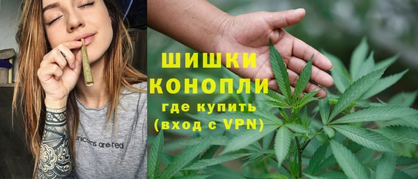 apvp Богородицк