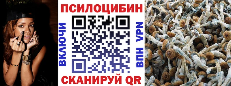 Галлюциногенные грибы Psilocybine cubensis  Городец 