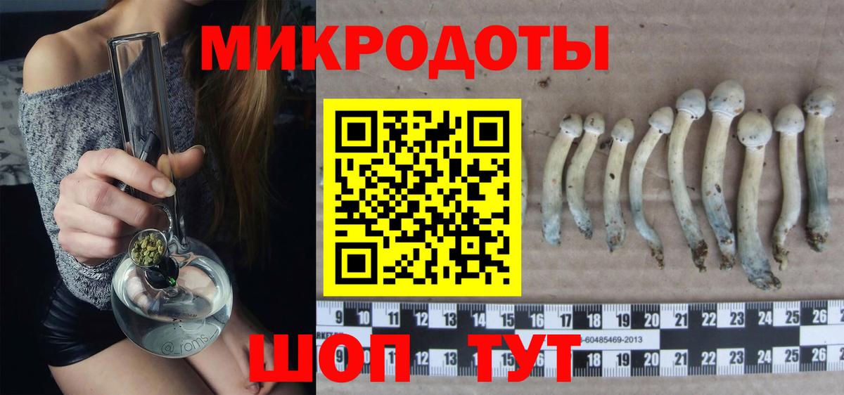 Городец  Галлюциногенные грибы Psilocybine cubensis  купить  цена  Псилоцибиновые грибы GOLDEN TEACHER  Вход с VPN 