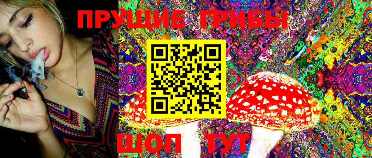 Галлюциногенные грибы Magic Shrooms Городец